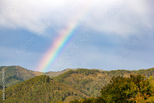 A multicolored bright rainbow on the blue sky and high Altai mountains, covered with green grass and forest on a bright sunny day