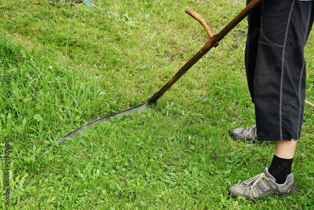 Grass Scythe Cutting Demonstration