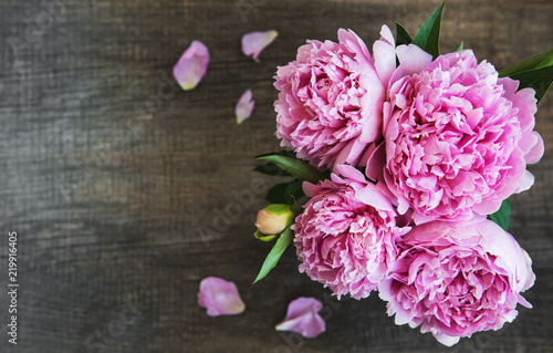 Pink peony flowers © Olena Rudo