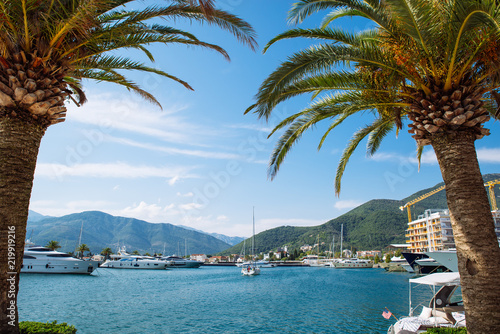 Wallpaper Mural palm tree with yachts on background Torontodigital.ca