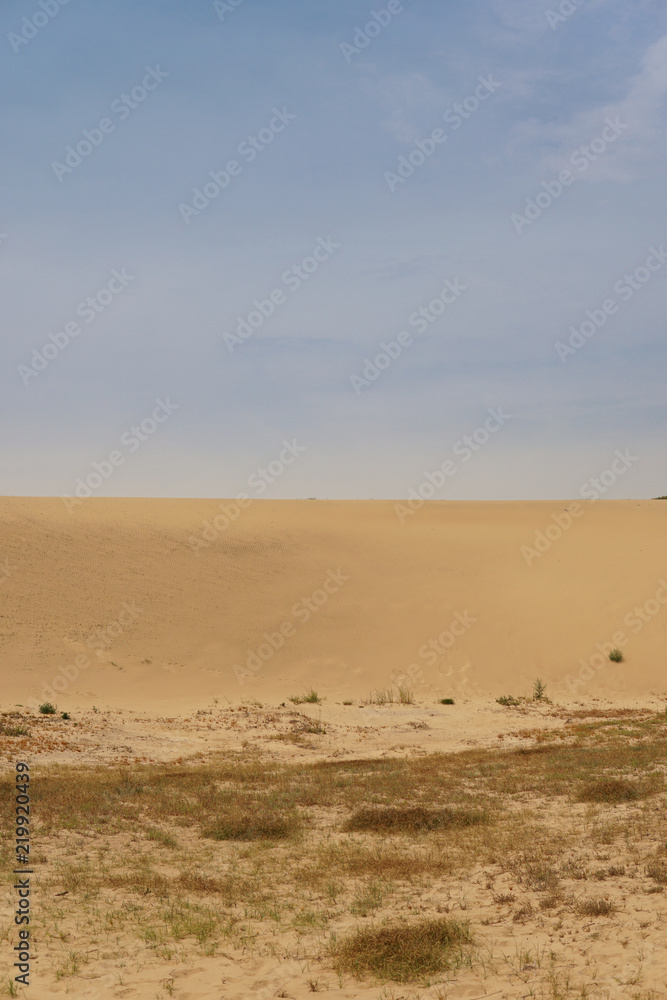 The dune scenery