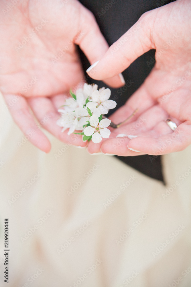 a branch of a blossoming apple tree lies in the hands of a young red-haired bride in the background of a stylish wedding dress with a black bow belt a branch of a blossoming apple tree lies in the hands of a young red-haired bride in the background of a stylish wedding dress with a black bow belt