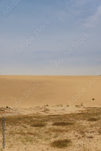 The dune scenery © naeun