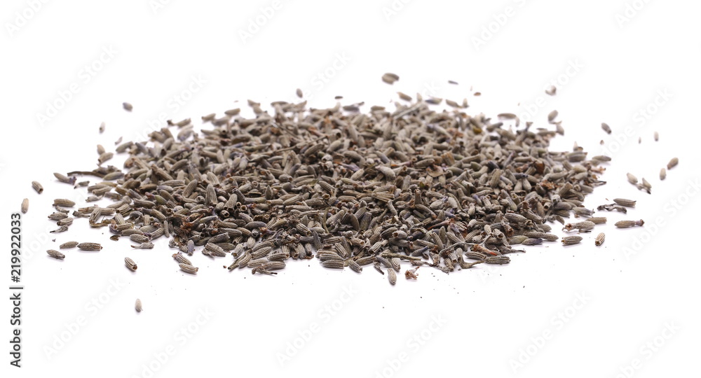 Dry lavender pile isolated on white background Dry lavender pile isolated on white background