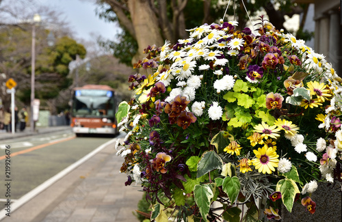 Flower decoration beside the running road of the Japanese bus of the day when it was fine