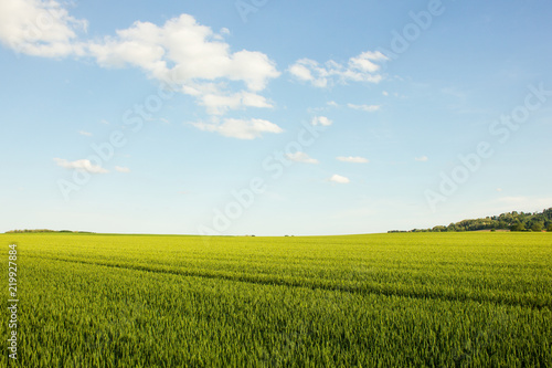 Agricultural landscape in northern Croatia