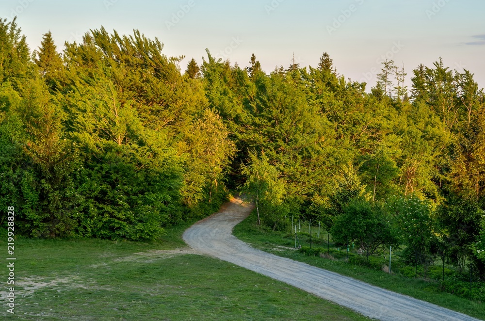Fototapeta premium Spring mountain landscape. A beautiful view of the green hills.