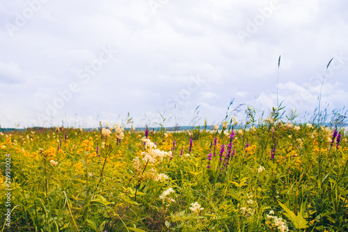 Sommaräng i Sverige mulet väder  photo