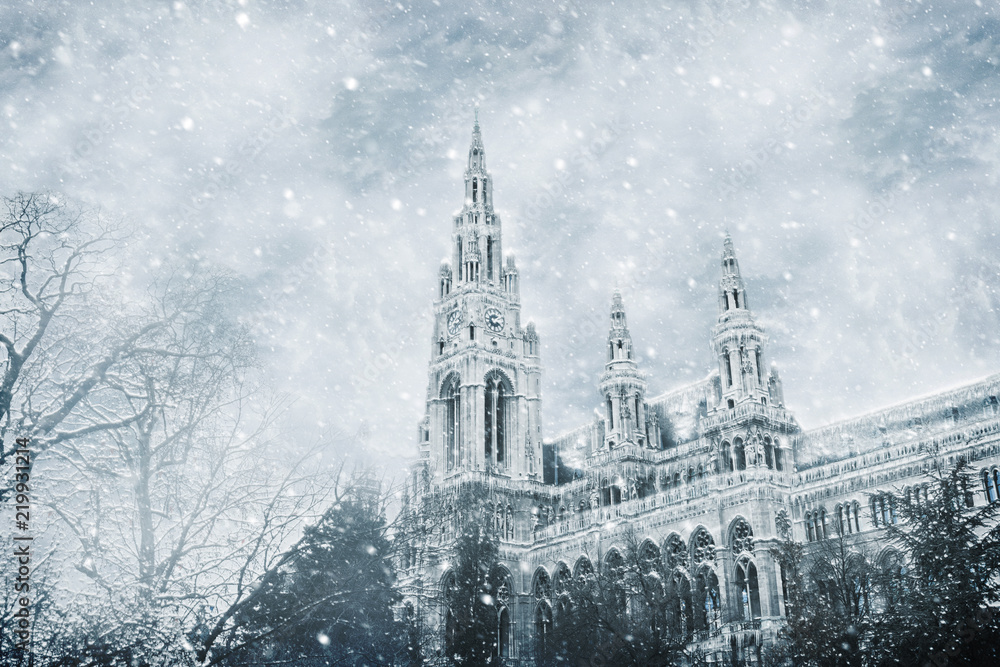 Vienna's Town Hall (Rathaus). The town hall also serves, in personal union, as Governor and Assembly (Landtag) of the State of Vienna. Austria.