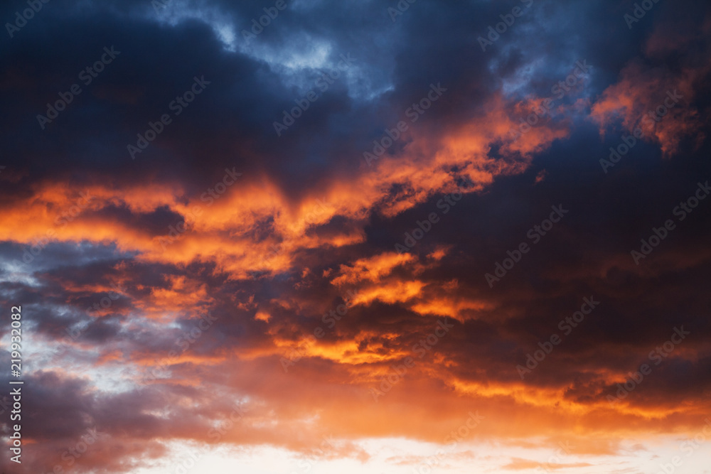 red cumulus clouds illuminated by the setting sun in the evening red cumulus clouds illuminated by the setting sun in the evening