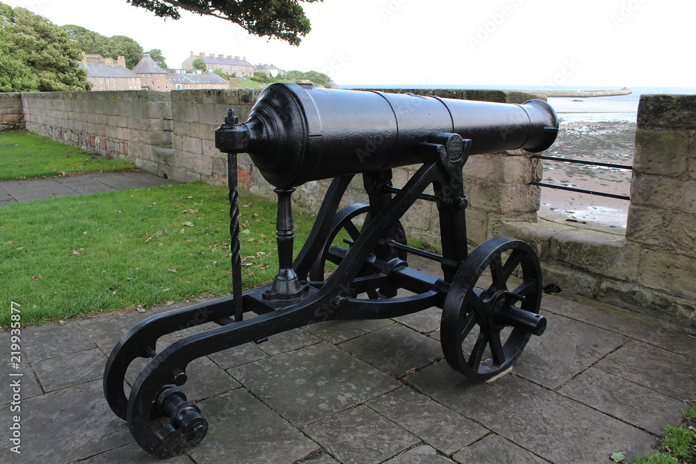 Cannon at Berwick-upon-Tweed