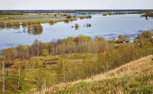 Oka river in Konstantinovo village. Ryazan oblast. Russia photo