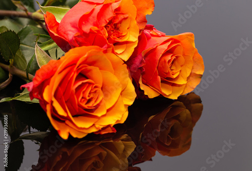 Beautiful Red Orange Roses 1