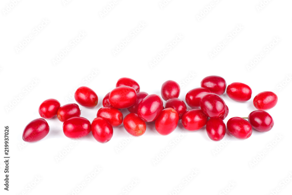 Cornels isolated on a white background Cornels isolated on a white background