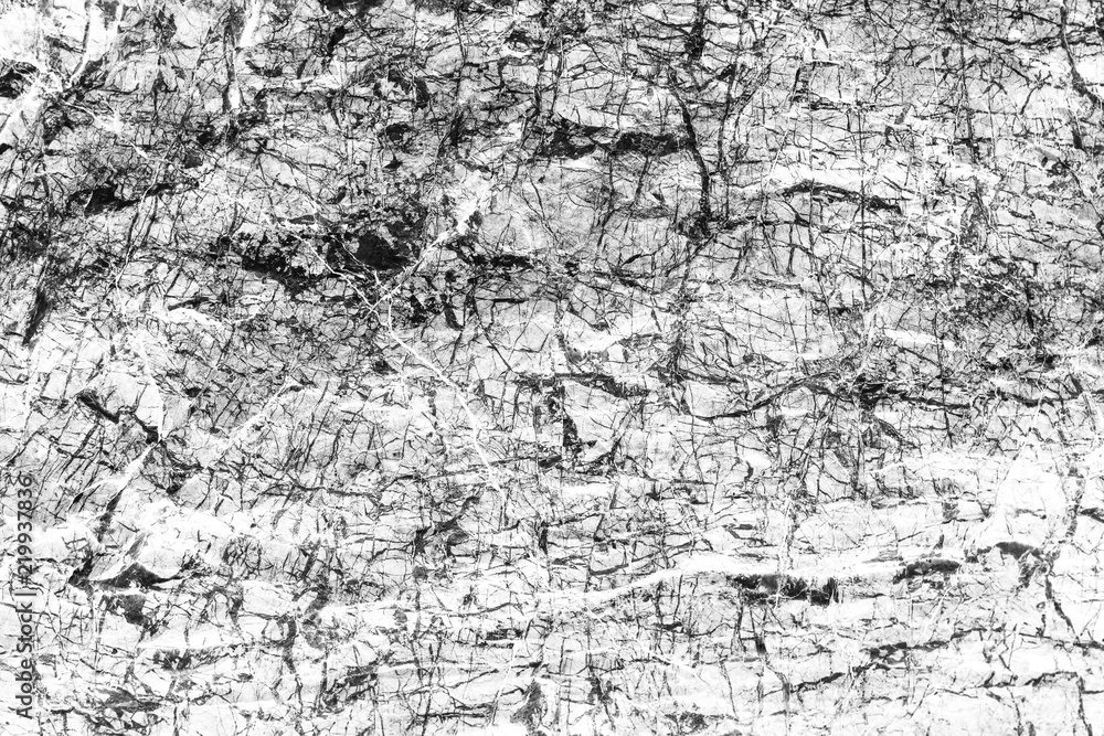 Fototapeta premium white and gray marble texture abstract background