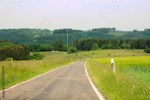 Strasse in grüner Landschaft im Frühling bei Bad Bertrich in der Eifel
