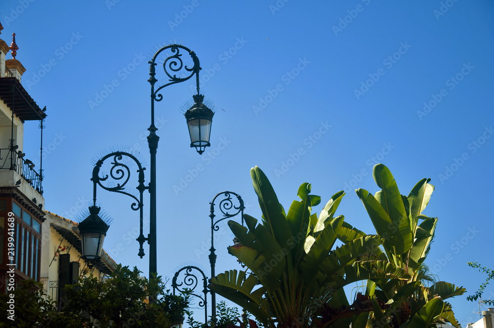 Black lanterns, palm trees and blue sky, summer day Black lanterns, palm trees and blue sky, summer day