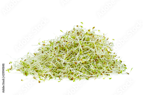 Pile of green alfalfa sprouts