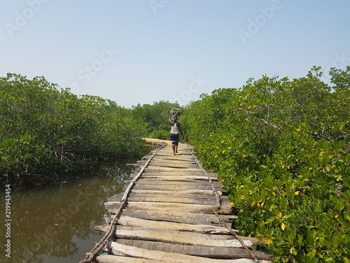 Quadro su tela chemin dans la mangrove Sénégalaise