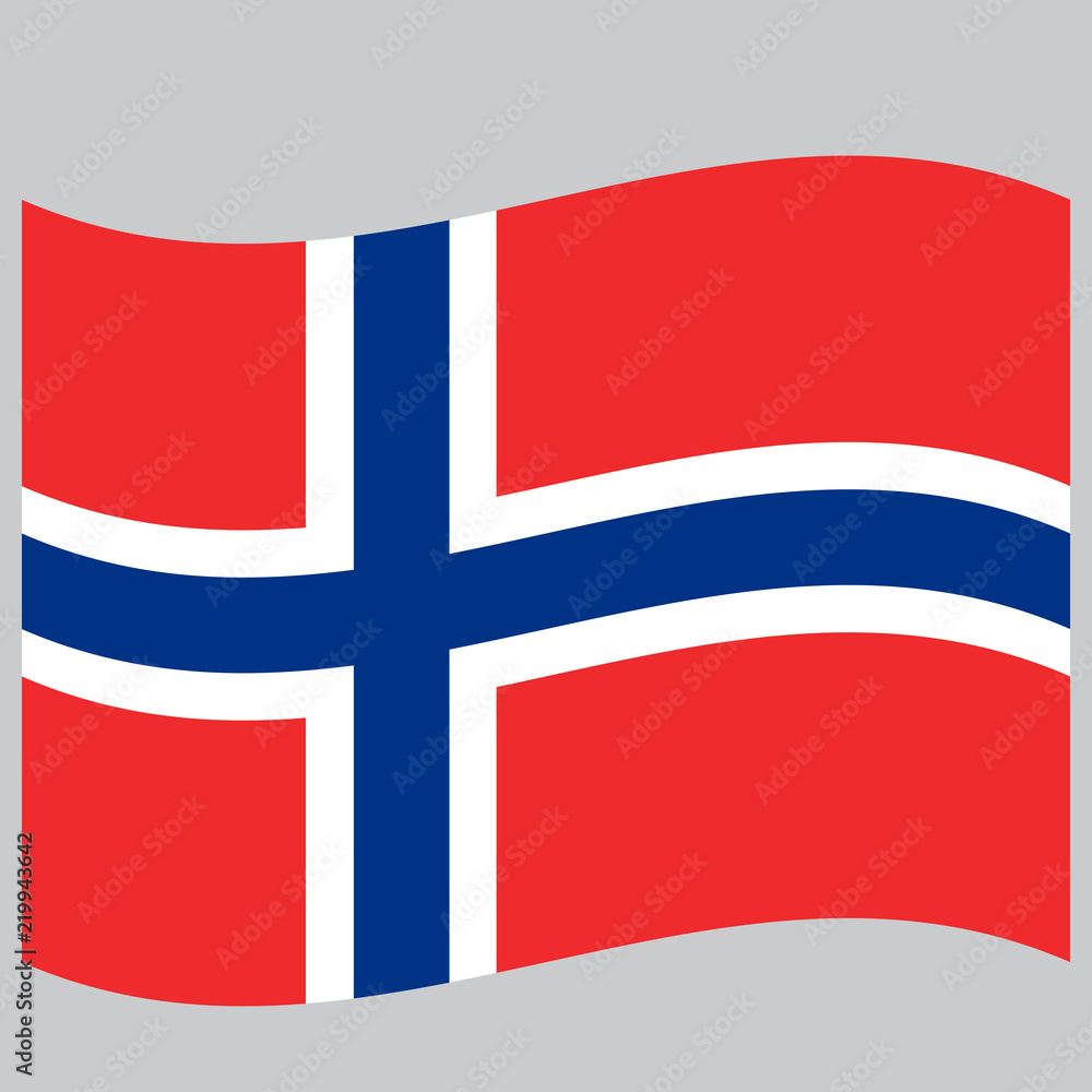 Obraz premium flag norway on gray background vector illustration flat