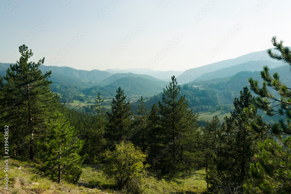 Green valley mountain landscape.