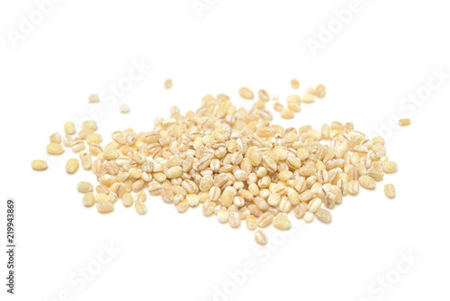 Barley on white background - isolated