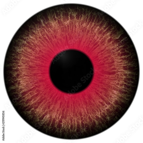 Evil dark red eyeball 3d texture, isolated white background, black pulpil with brown round and red eye