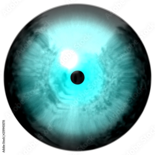Turqoise eyeball 3d texture isolated white backgroudn, black pulpil, eye with little pulpil and black fringe