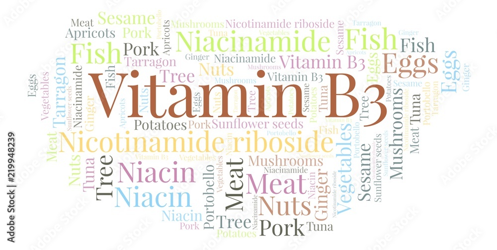 Vitamin B3 word cloud. Vitamin B3 word cloud.