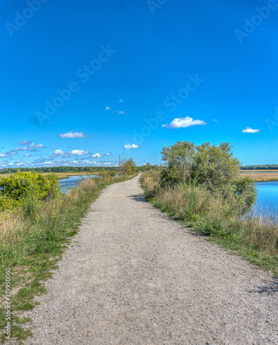 road across the marsh