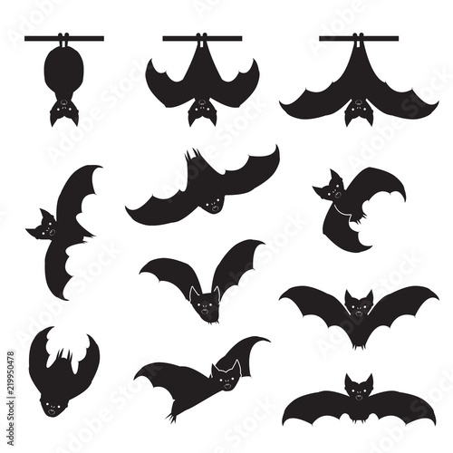 Bat in various positions set. Bat icons. Vector.