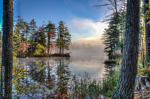 Foggy pond