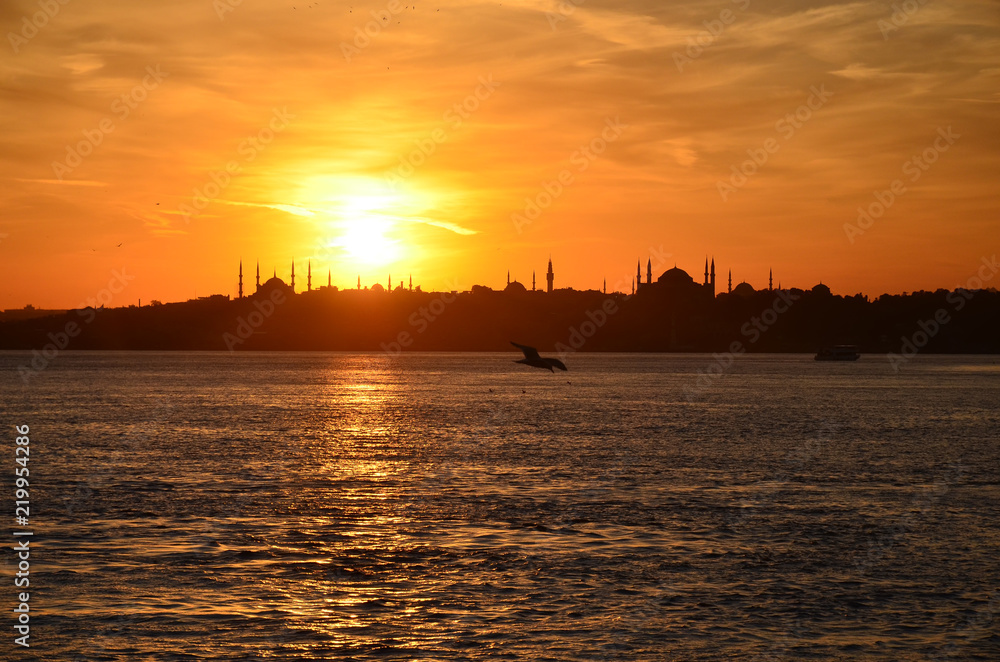 Sunset in Istanbul, Turkey. View from sea of marmara. Seagulls in the sky. Historical, famous Fatih district. Silhouettes  of Sultan Ahmed Mosque (Blue Mosque) and  Hagia Sophia (Ayasofya) Mosque.