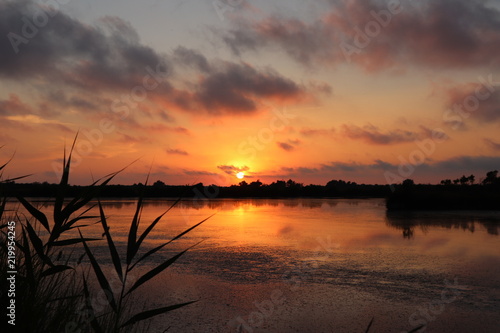 Coucher de soleil sur le domaine de Certes  Bassin d arcachon