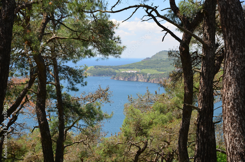 View to the sea of Marmura from the Pine forest. Focus on the sea. The Prince Islands (Buyukada)