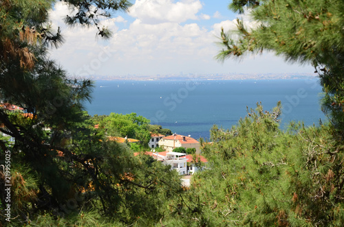 View to the sea of Marmura from the Pine forest. Focus on the sea. The Prince Islands (Buyukada) 