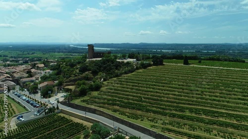 Vines and castle of Chateauneuf du Pape