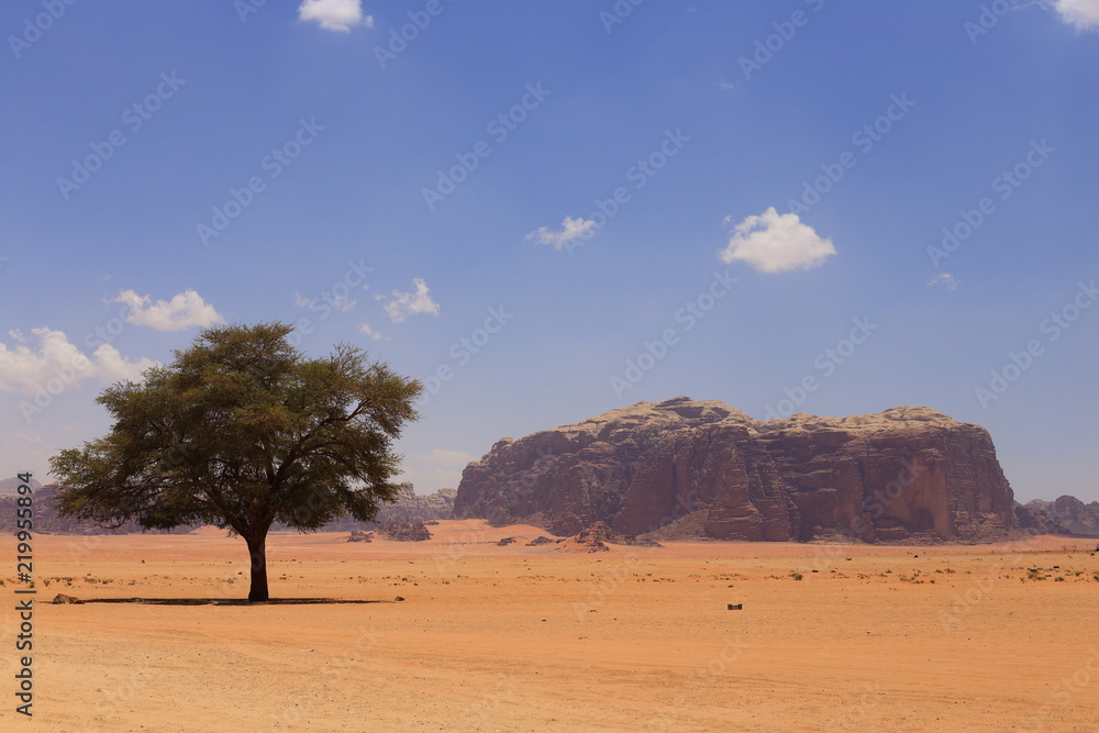 Red dunes in the Wadi Rum desert, Jordan Red dunes in the Wadi Rum desert, Jordan