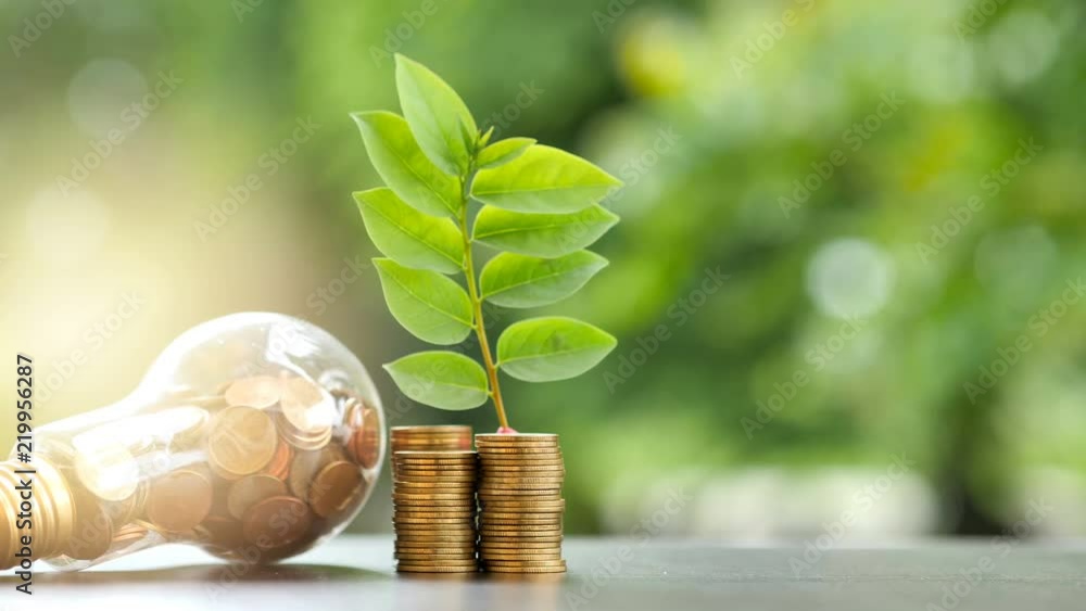 Energy saving. stacks of coins growing in light bulb and tree growing on stacks of coins and Motion tree nature background. Saving, Natural energy and financial concept. video 4K Slow motion..