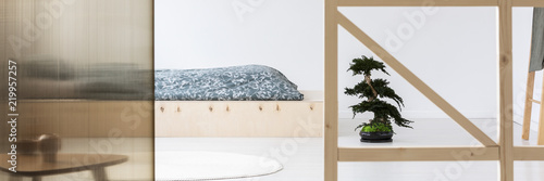 Fototapeta Naklejka Na Ścianę i Meble -  Bonsai next to wooden bed with patterned bedding in bright simple bedroom interior. Real photo
