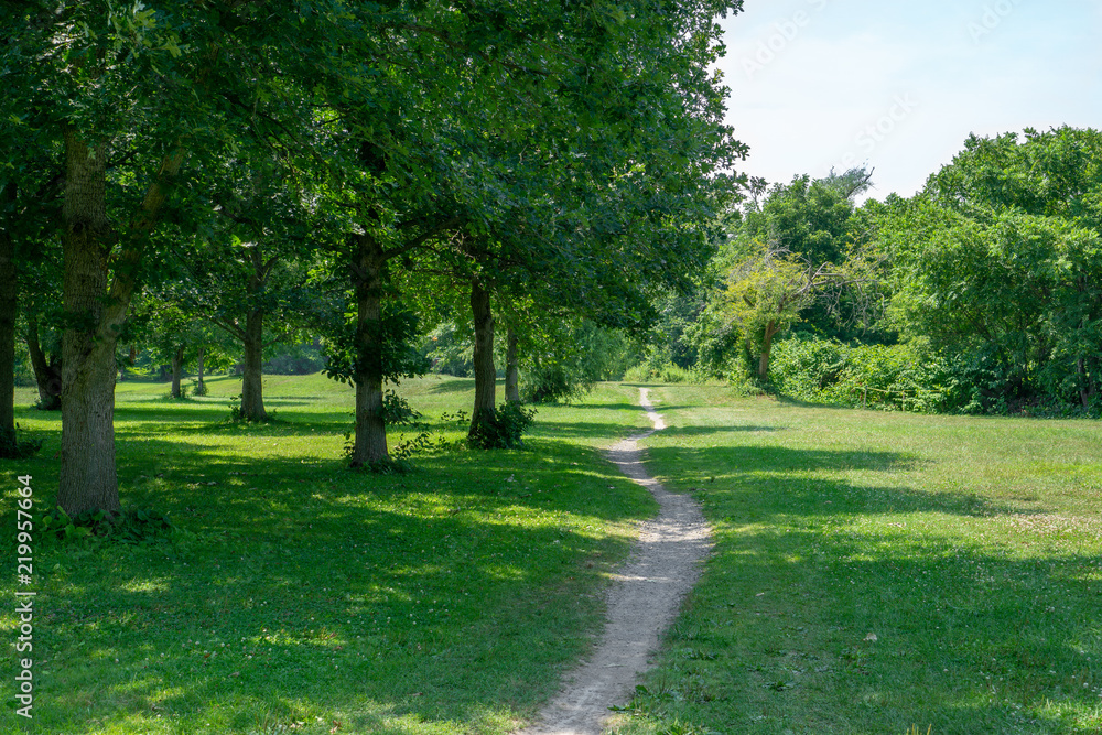 Stone walking path though park