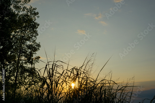 Evening sky above lake erie