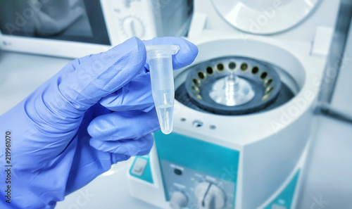 Bilde på lerret Gloved hand holds an Eppendorf tube with a sample, part of DNA extraction proced