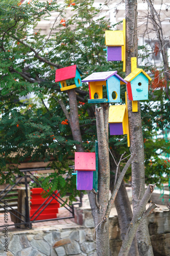Colorful bird houses on tree trunk in forest