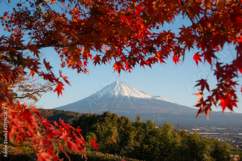 富士山