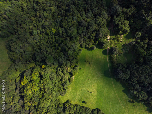 Green forest and hills in Pieniny, Poland. Aerial drone view.