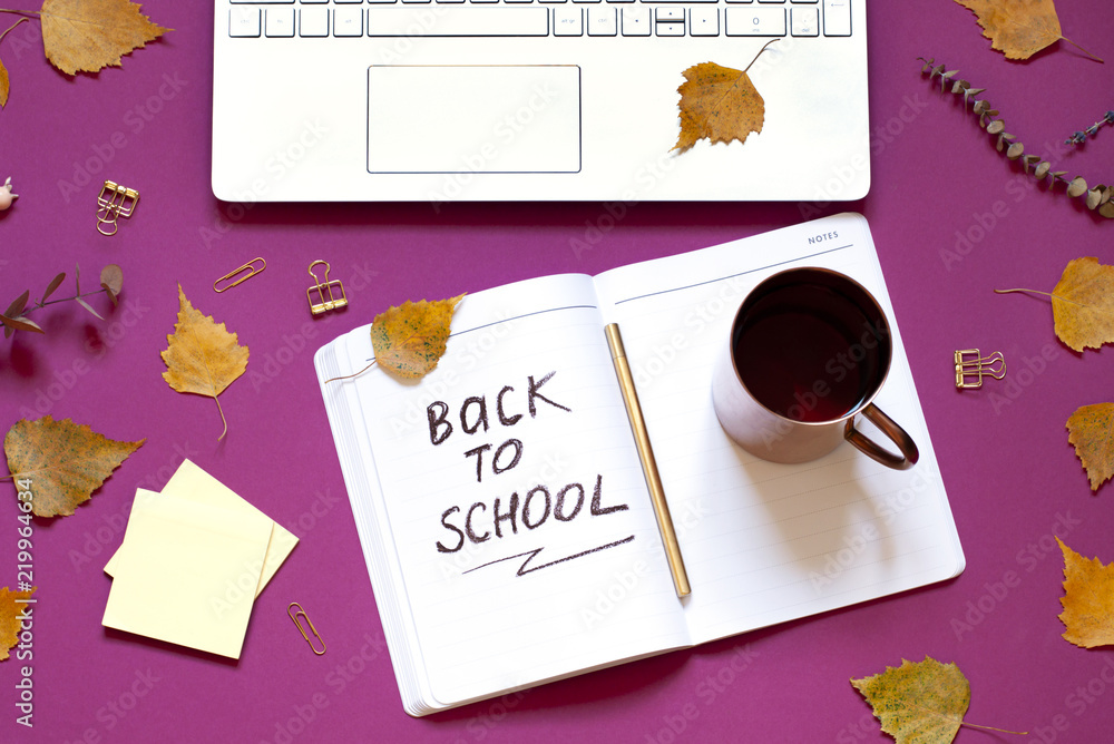 Back to school autumn concept flat lay. Top view composition Back to school autumn concept flat lay. Top view composition