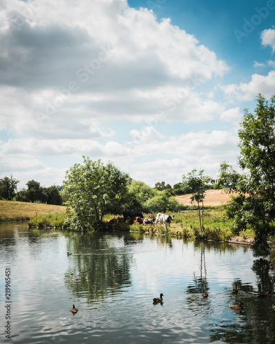 Pretty skies over the pond