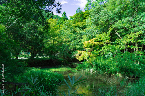 比叡山(Hiei Mountain)
