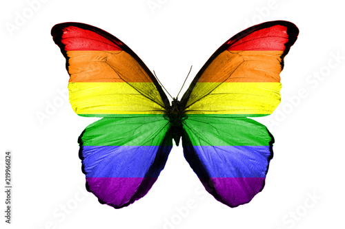 flag of LGBT on the wings of a butterfly. isolated on white background